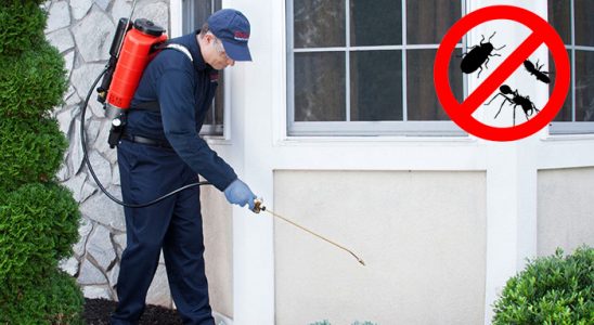 Malazgirt Dezenfeksiyon böcek ilaçlama ve haşere kontrolü — ilaclama-tr.com